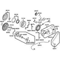 Lichtmaschine, Anlasser & Ölpumpe