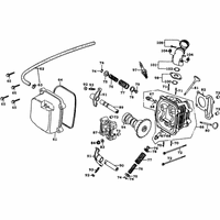 Zylinderkopf & Ventiltrieb