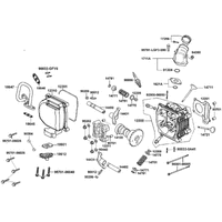Zylinderkopf  & Ventiltrieb