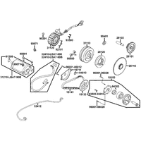 Lichtmaschine, Anlasser & Ölpumpe
