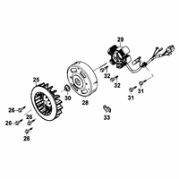 Lichtmaschine & Lüfter