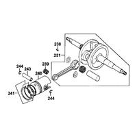 Kolben & Kurbelwelle