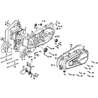 Kurbelgehäuse kpl. & Variomatikdeckel