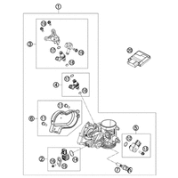 DROSSELKLAPPENKOERPER
