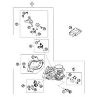 DROSSELKLAPPENKOERPER