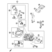 DROSSELKLAPPENKOERPER
