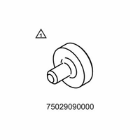Husqvarna / Husaberg 75029090000