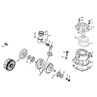 KURBELWELLE - KOLBEN - AUSGLEICHSWELLE
