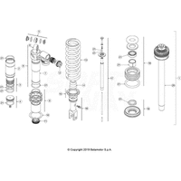 HINTERRADSCHWINGE / STOSSDAEMPFER