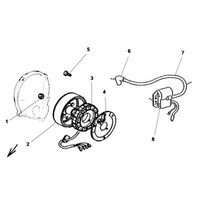 ELEKTRONISCHE ZUENDUNG