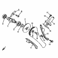 NOCKENWELLE / STEUERKETTE