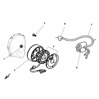 ELEKTRONISCHE ZUENDUNG