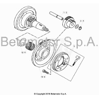 FREILAUF