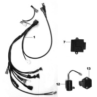 ELEKTRIK