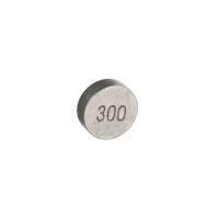 Suzuki 12892-41C00-300