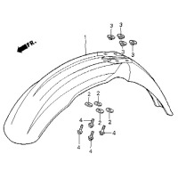 KOTFLUEGEL VORN