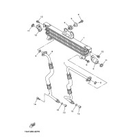 OIL COOLER