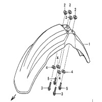 KOTFLUEGEL VORN